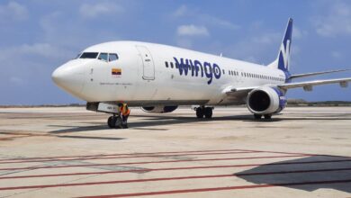 Wingo